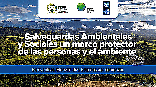 Las salvaguardas como un marco que resguarda los mercados basados en la naturaleza